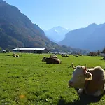 Vakantiehuis Jungfrau Family