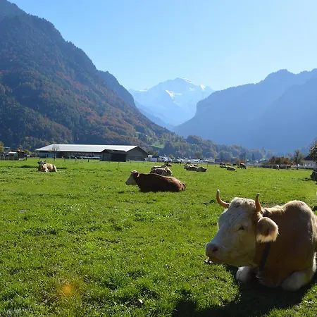 Hébergement de vacances Jungfrau Family