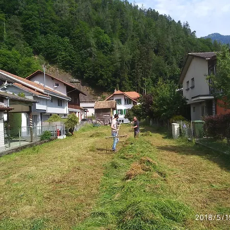Jungfrau Family Holiday home Matten bei Interlaken