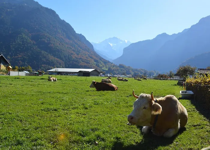 Casa vacanze Jungfrau Family